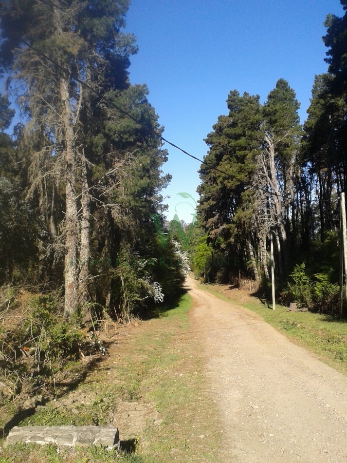 - Villa Berna, Fraccion 1ha 9421m2