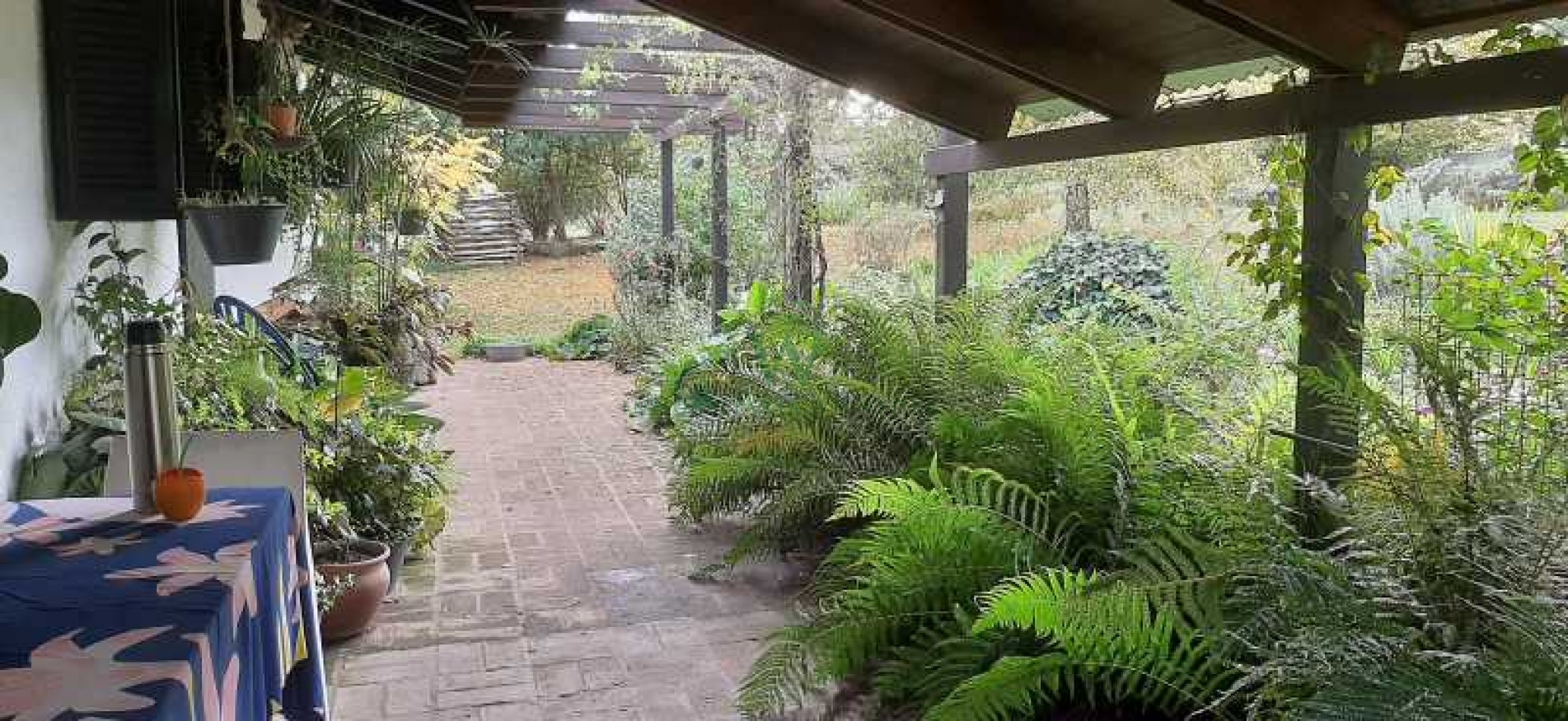  Villa Berna, casa de campo. Terreno 5.837m2 (COD 602)