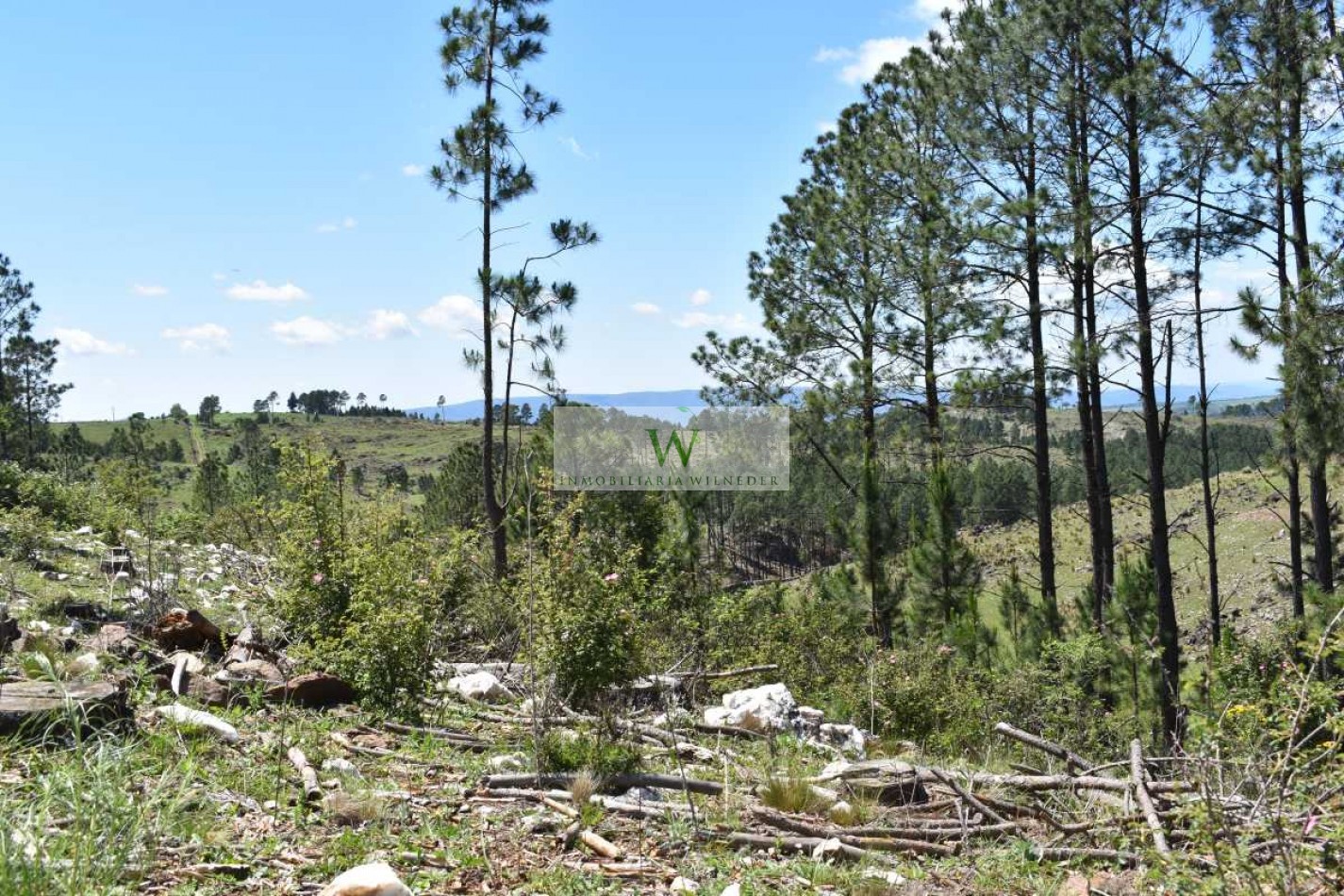  Fraccion 1,5 hectareas zona Loma del Tigre, a 4km de Villa Berna
