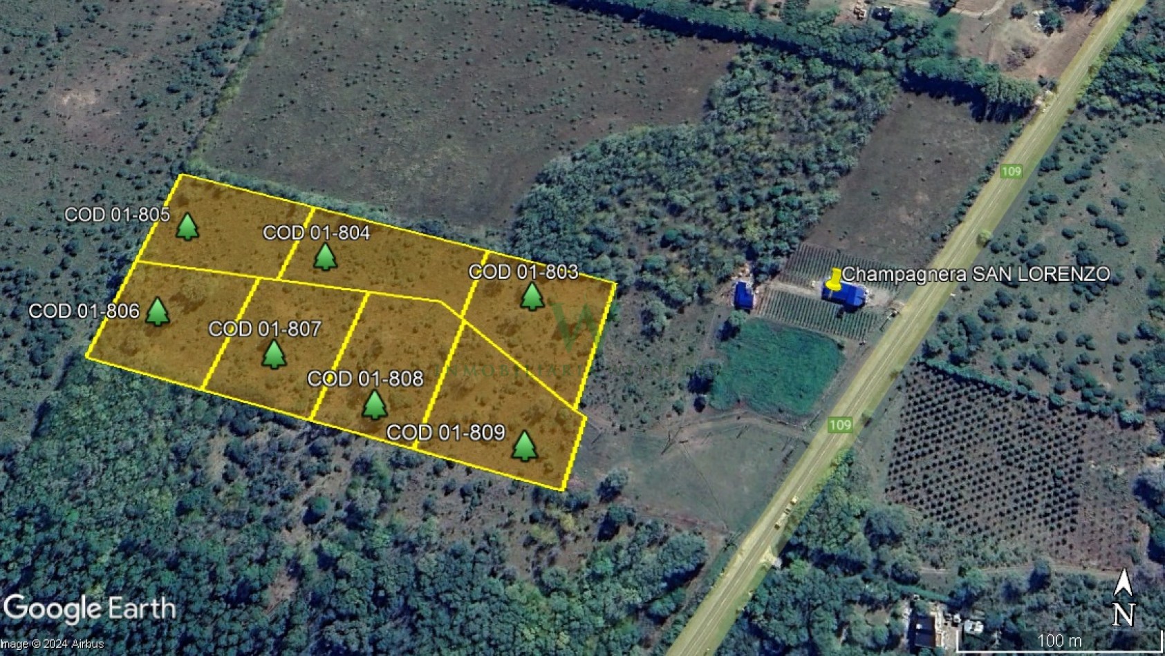 COD 01-809- Lote 5.000m2 con servicios, a metros de ruta No 109