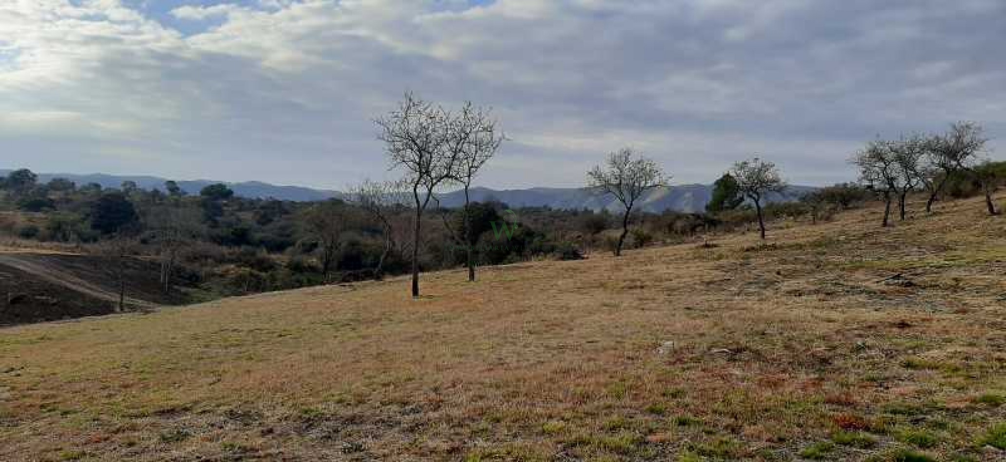 Terreno 9909m2 con costa de arroyo y vertiente, Villa General Belgrano 