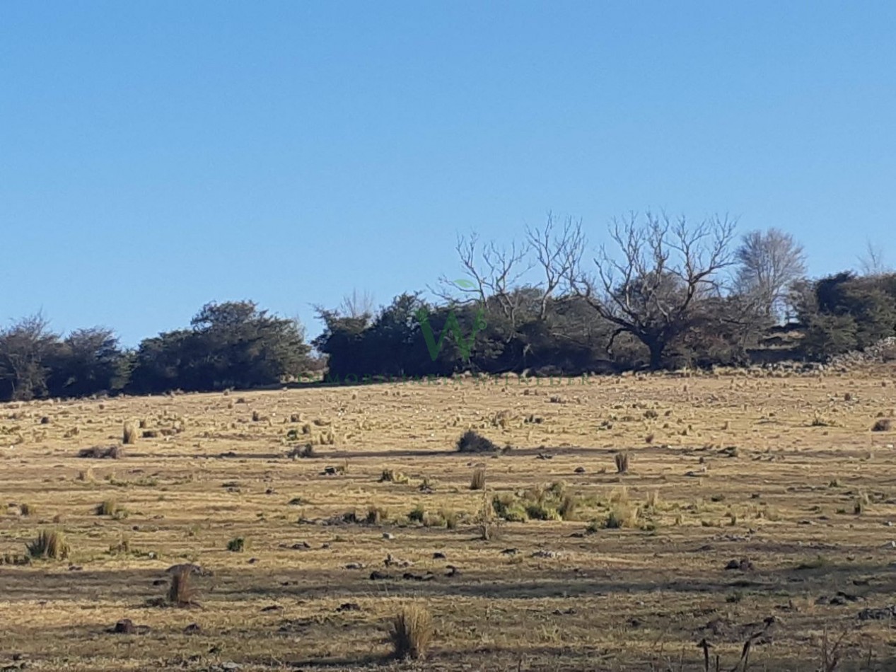 Villa Berna.Fraccion 2ha 4200m2, colinda con arroyo de agua permanente