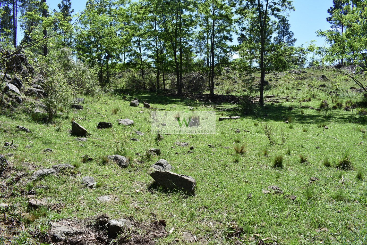  Fraccion 1,5 hectareas zona Loma del Tigre, a 4km de Villa Berna