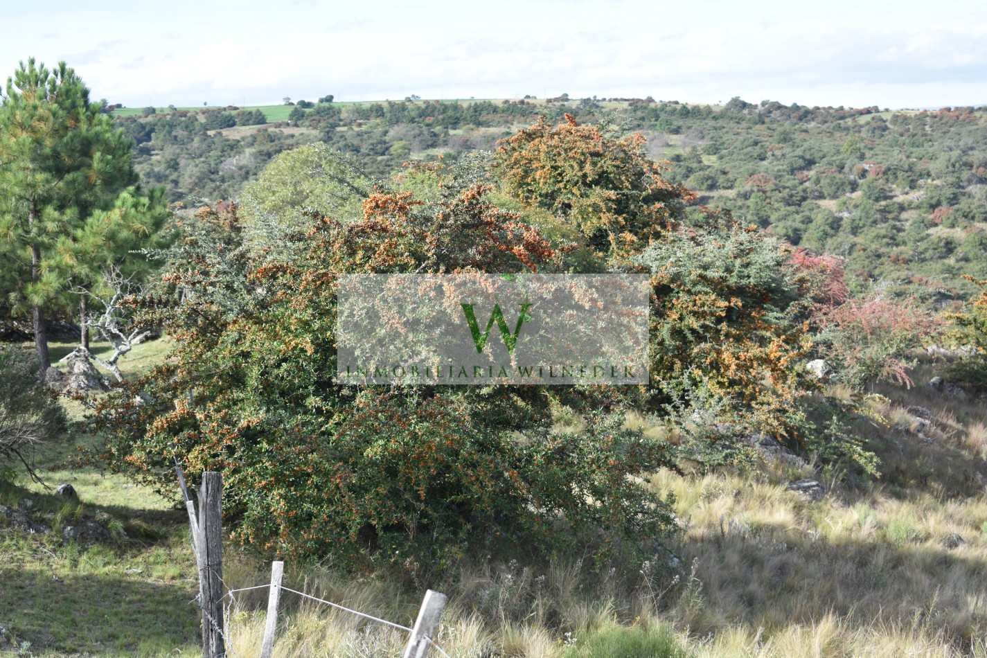  Atos pampa, fraccion 1 hectarea, contiene 3 arroyos , vista a las sierras 