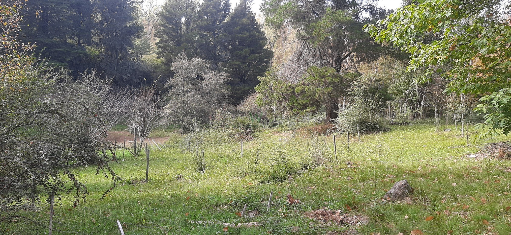 Cabaña de piedra en Villa Berna de 123m2  , con  amplio parque