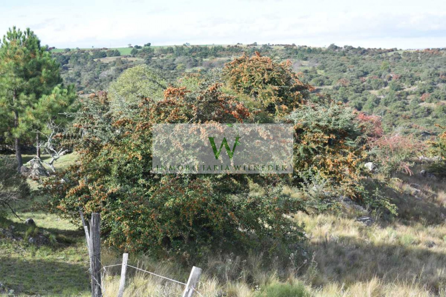  Atos pampa, fraccion 1 hectarea, contiene 3 arroyos , vista a las sierras 