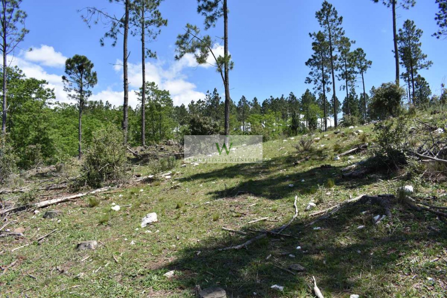  Fraccion 1,5 hectareas zona Loma del Tigre, a 4km de Villa Berna