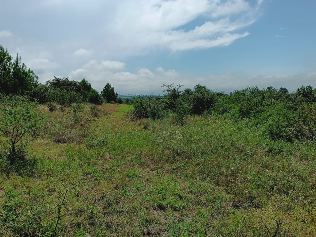  1 hectarea en Capilla Vieja con pozo de agua, terreno plano con vista a las sierras