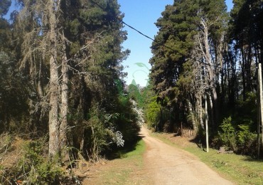 - Villa Berna, Fraccion 1ha 9421m2