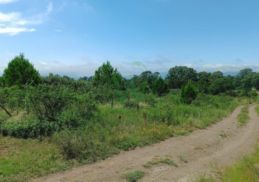  1 hectarea en Capilla Vieja con pozo de agua, terreno plano con vista a las sierras