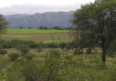 COD 01-809- Lote 5.000m2 con servicios, a metros de ruta No 109