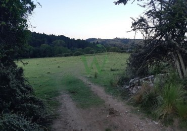 Villa Berna.Fraccion 2ha 4200m2, colinda con arroyo de agua permanente